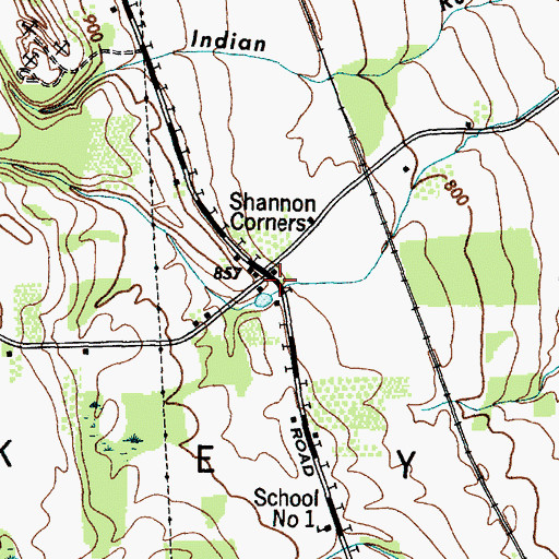 Topographic Map of Shannon Corners, NY