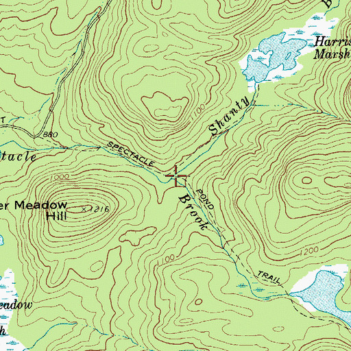 Topographic Map of Shanty Bottom Brook, NY