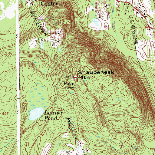 Topographic Map of Shaupeneak Mountain, NY