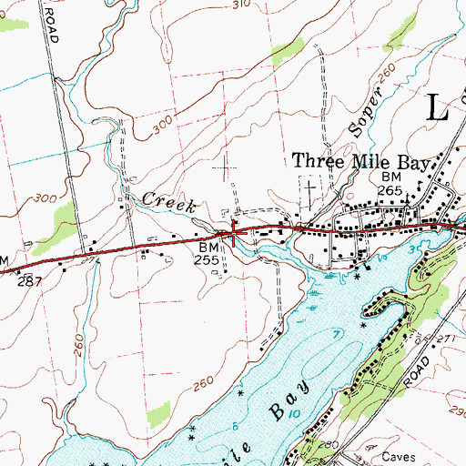 Topographic Map of Shaver Creek, NY