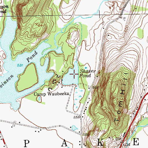 Topographic Map of Shaver Pond, NY