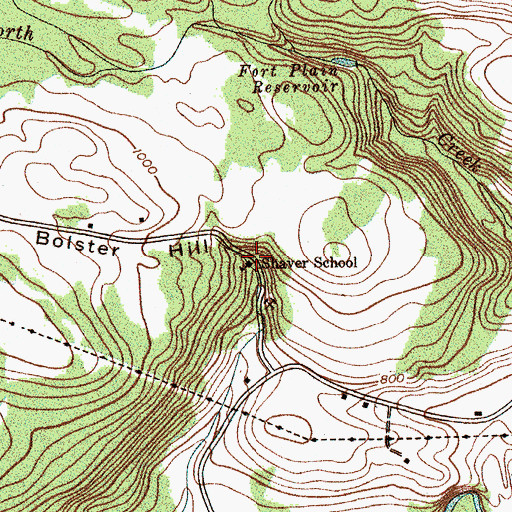 Topographic Map of Shaver School, NY
