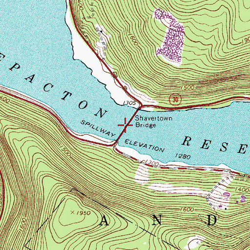 Topographic Map of Shavertown Bridge, NY