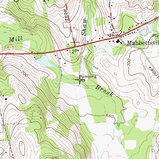 Topographic Map of Shaw Brook, NY