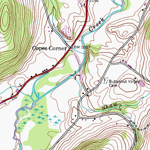 Topographic Map of Shaw Brook, NY