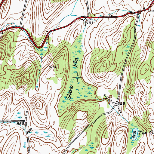 Topographic Map of Shaw Fly, NY