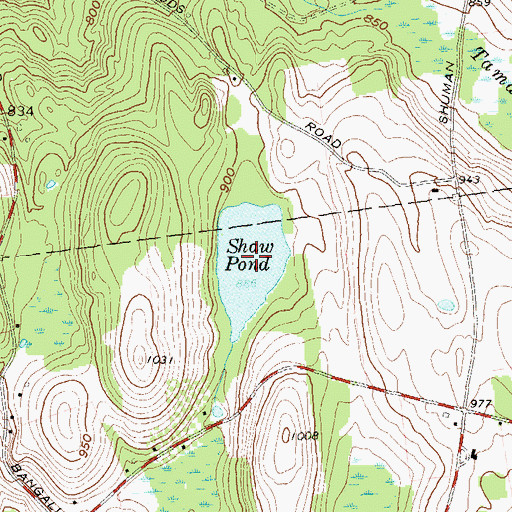 Topographic Map of Shaw Pond, NY