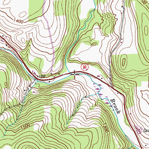Topographic Map of Shawler Brook, NY