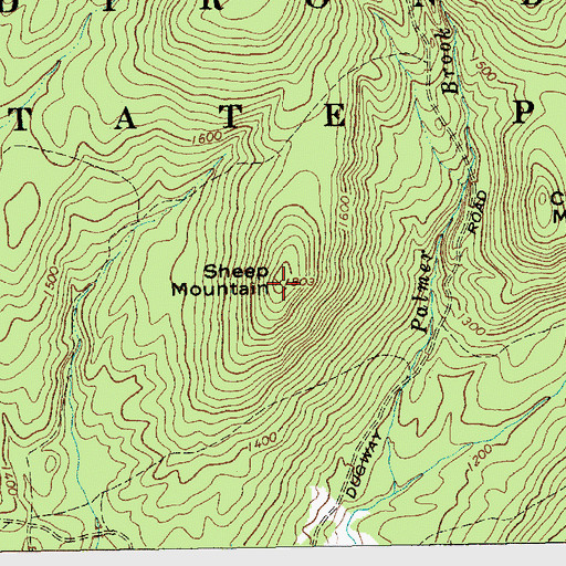 Topographic Map of Sheep Mountain, NY