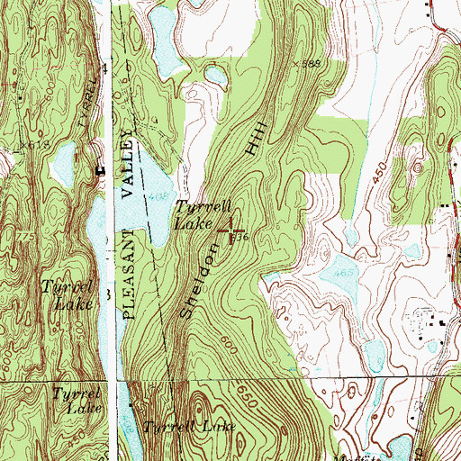 Topographic Map of Sheldon Hill, NY