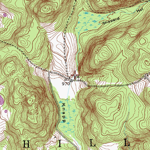 Topographic Map of Shepard Hollow, NY