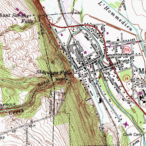 Topographic Map of Shequaga Falls, NY