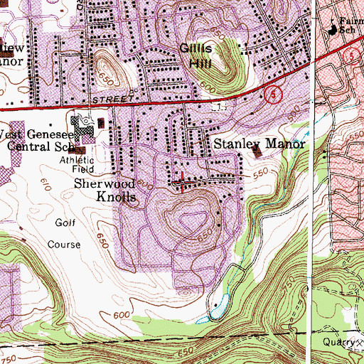 Topographic Map of Sherwood Knolls, NY