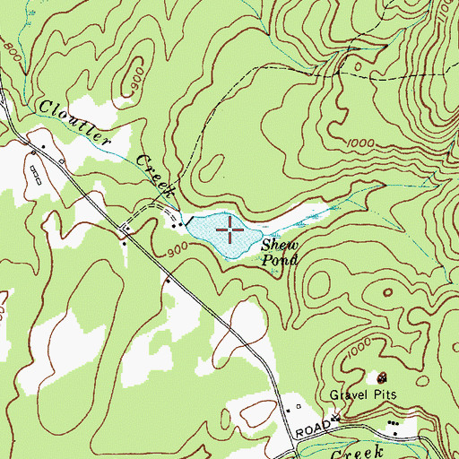 Topographic Map of Shew Pond, NY