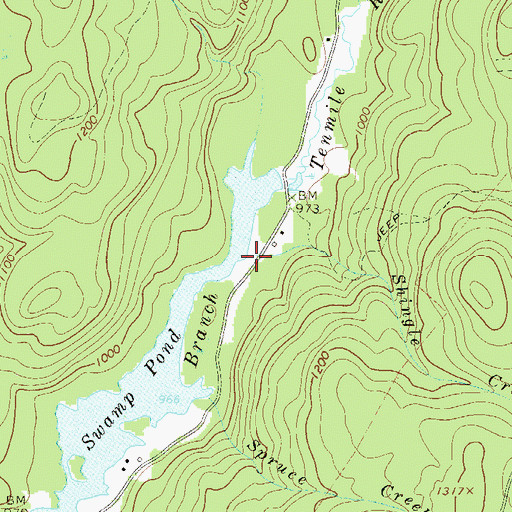 Topographic Map of Shingle Creek, NY