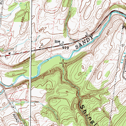 Topographic Map of Shingle Gulf, NY