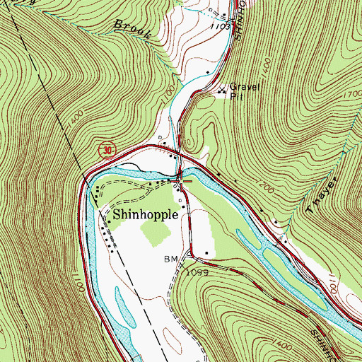 Topographic Map of Shinhopple, NY