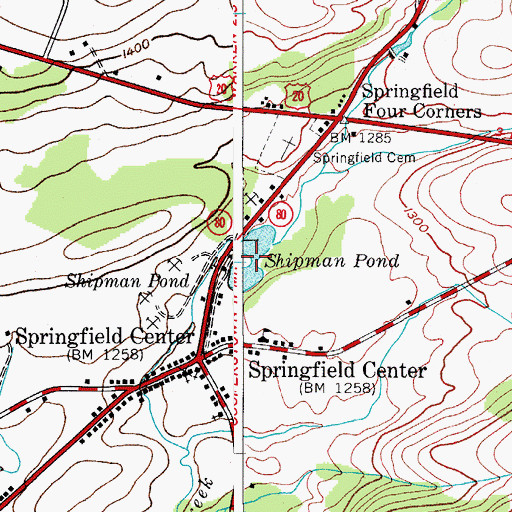 Topographic Map of Shipman Pond, NY