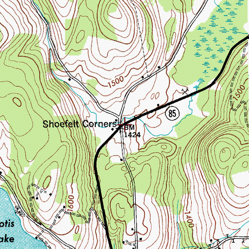 Topographic Map of Shoefelt Corners, NY