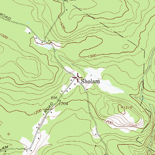 Topographic Map of Sholam, NY