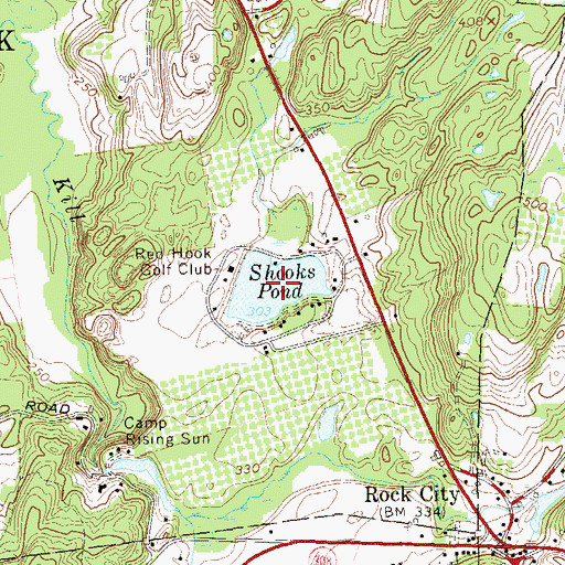 Topographic Map of Shooks Pond, NY