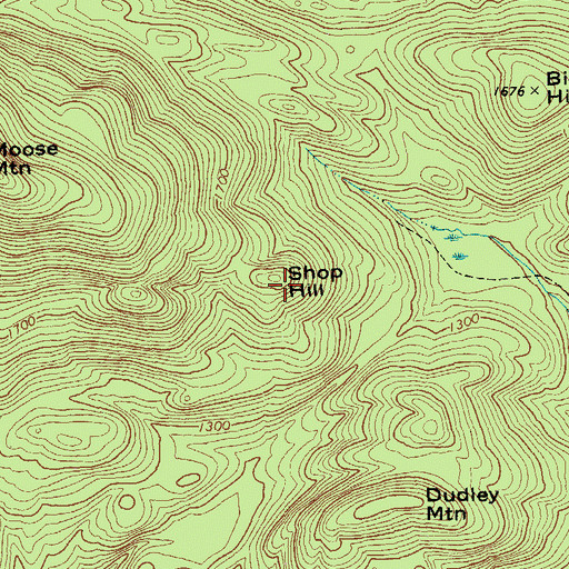 Topographic Map of Shop Hill, NY