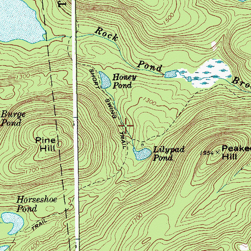 Topographic Map of Short Swing Trail, NY