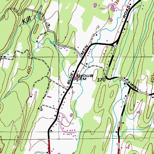 Topographic Map of Shoub Cemetery, NY