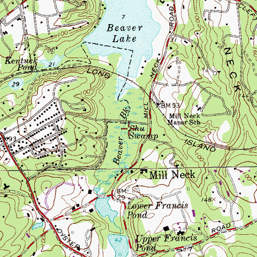 Topographic Map of Shu Swamp, NY