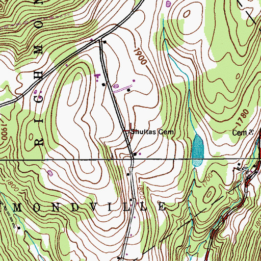 Topographic Map of Shultas Cemetery, NY