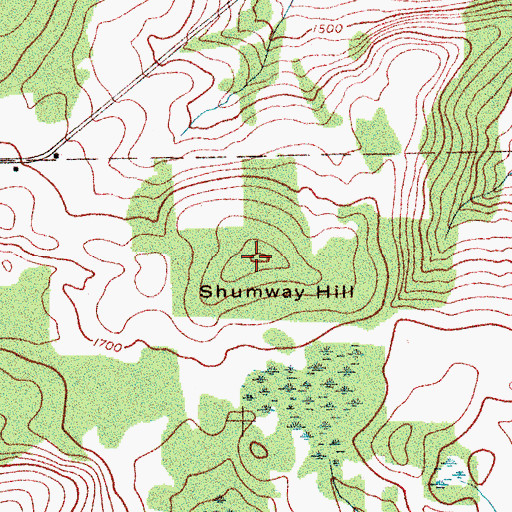 Topographic Map of Shumway Hill, NY