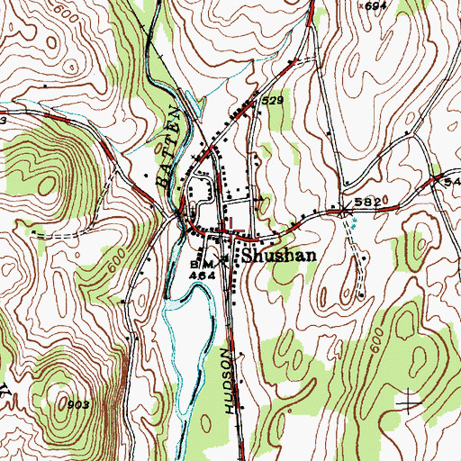 Topographic Map of Shushan, NY
