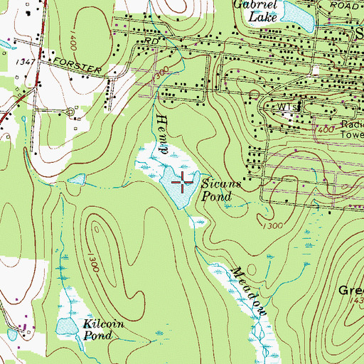 Topographic Map of Sicans Pond, NY
