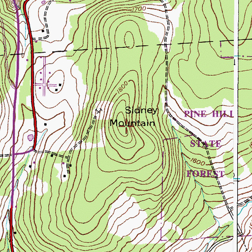 Topographic Map of Sidney Mountain, NY