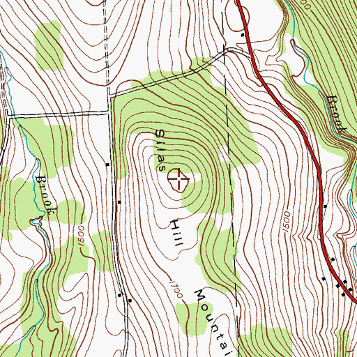 Topographic Map of Silas Hill Mountain, NY