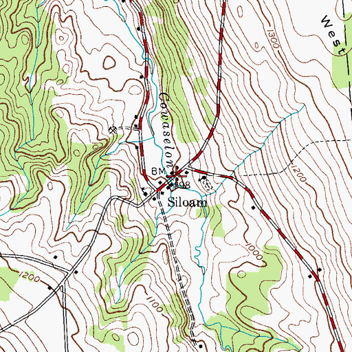 Topographic Map of Siloam, NY