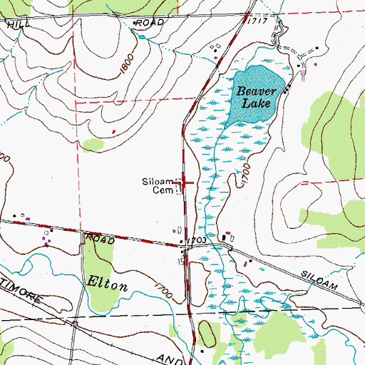 Topographic Map of Siloam Cemetery, NY