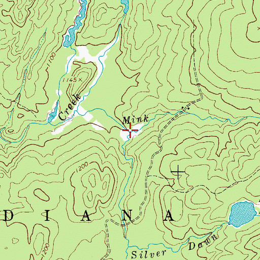 Topographic Map of Silver Dawn Creek, NY