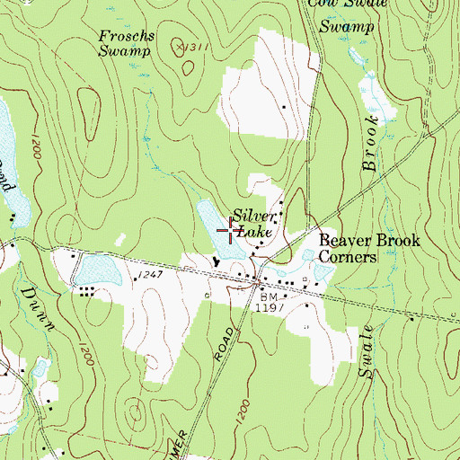 Topographic Map of Silver Lake, NY