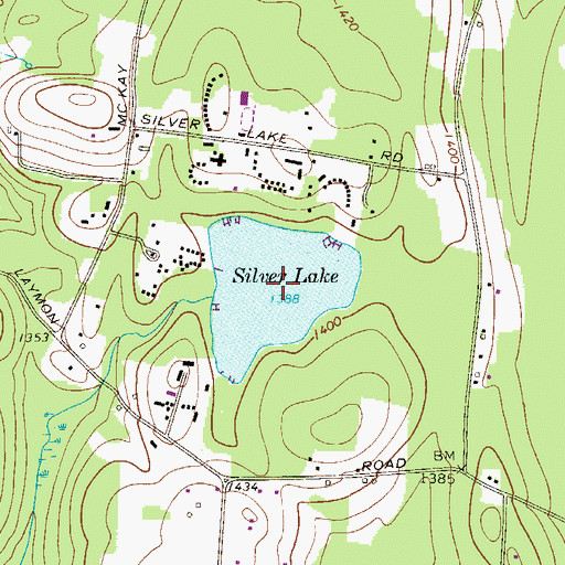 Topographic Map of Silver Lake, NY