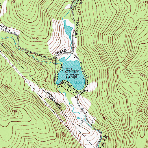 Topographic Map of Silver Lake, NY