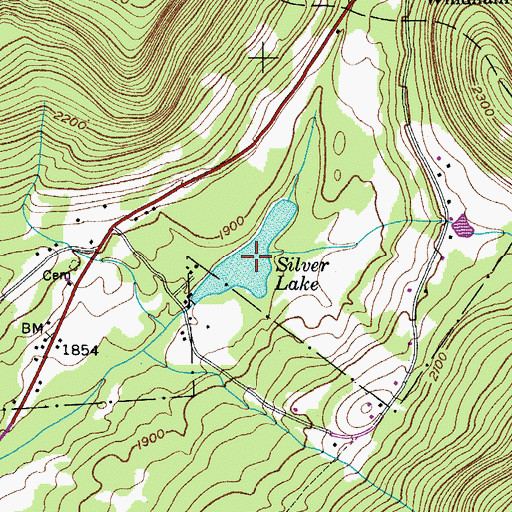 Topographic Map of Silver Lake, NY