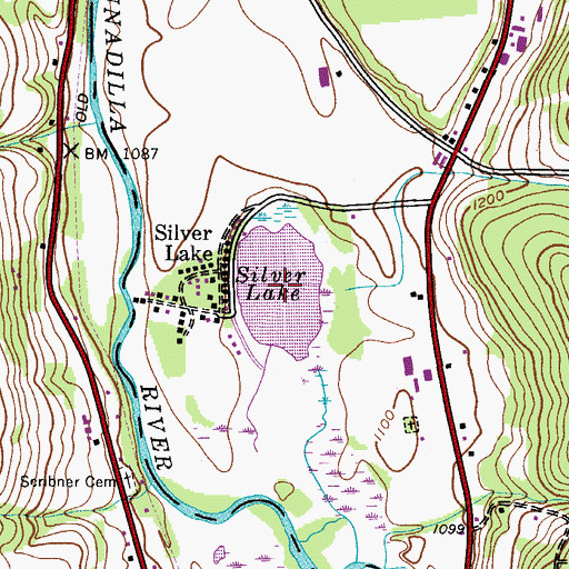 Topographic Map of Silver Lake, NY