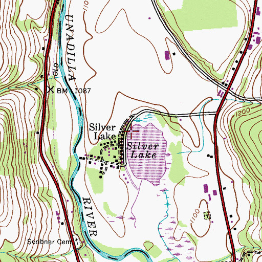 Topographic Map of Silver Lake, NY