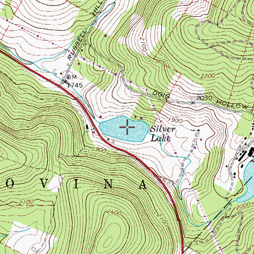 Topographic Map of Silver Lake, NY