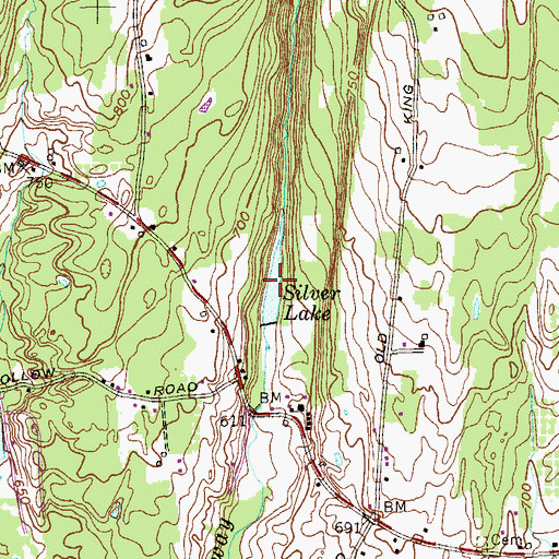 Topographic Map of Silver Lake, NY
