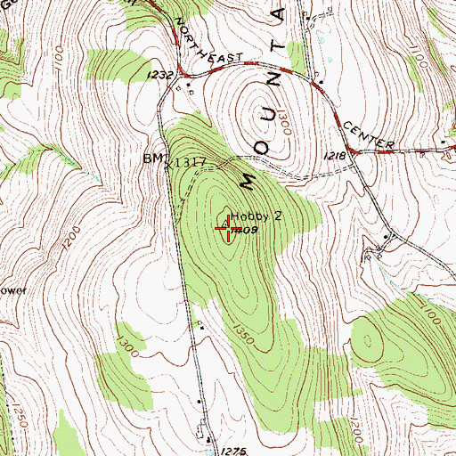 Topographic Map of Silver Mountain, NY
