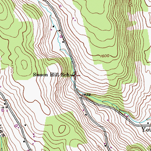 Topographic Map of Sisson Hill School (historical), NY
