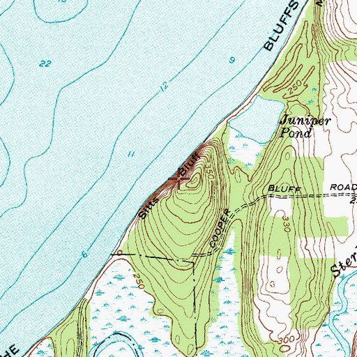 Topographic Map of Sitts Bluff, NY
