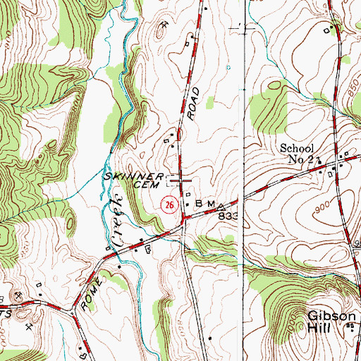Topographic Map of Skinner Cemetery, NY